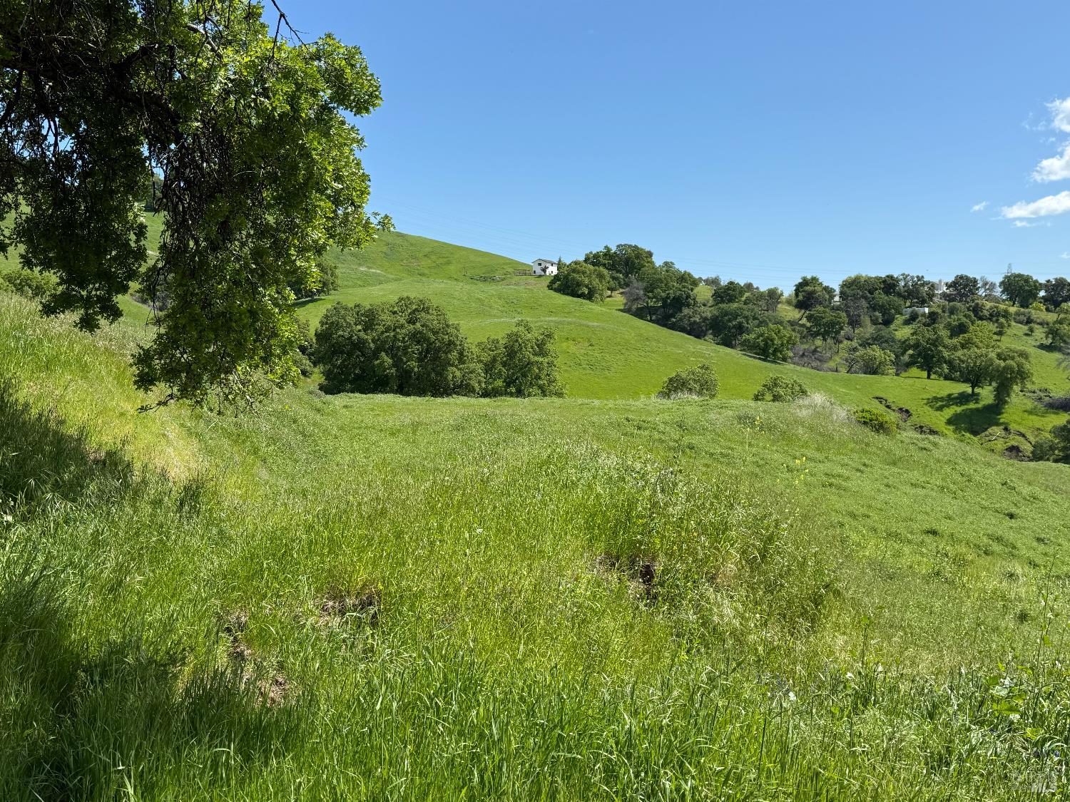 Detail Gallery Image 2 of 15 For 3757 Wild Oak Trl, Vacaville,  CA 95688 - – Beds | – Baths