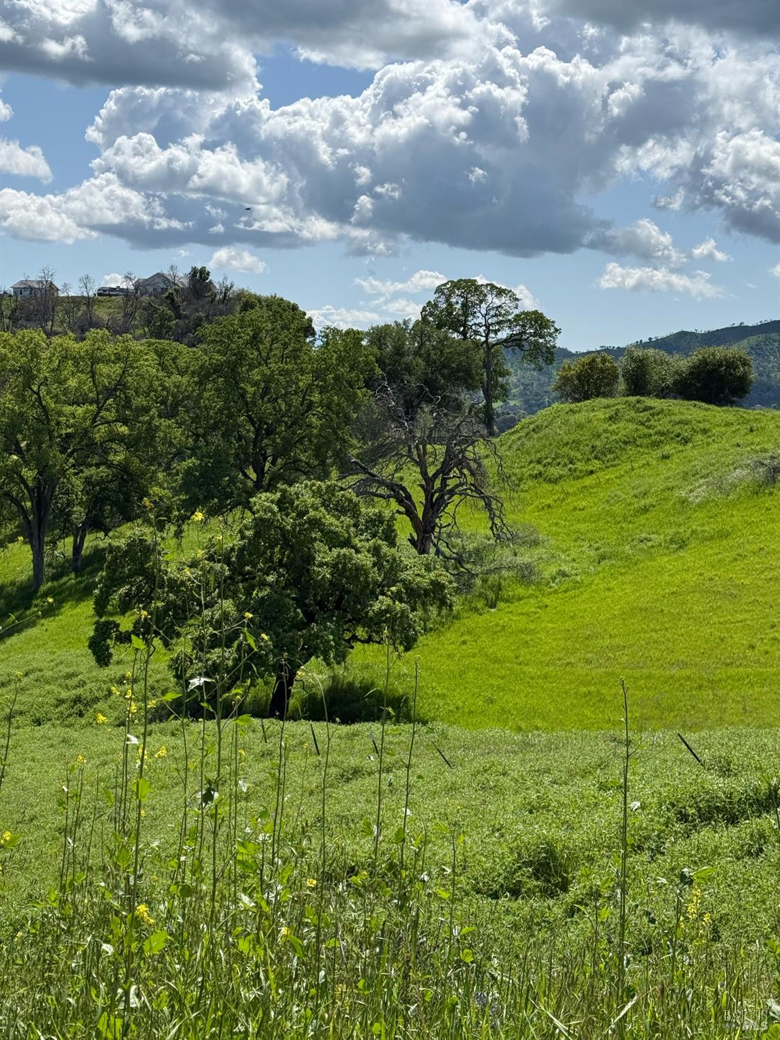 Detail Gallery Image 9 of 15 For 3757 Wild Oak Trl, Vacaville,  CA 95688 - – Beds | – Baths