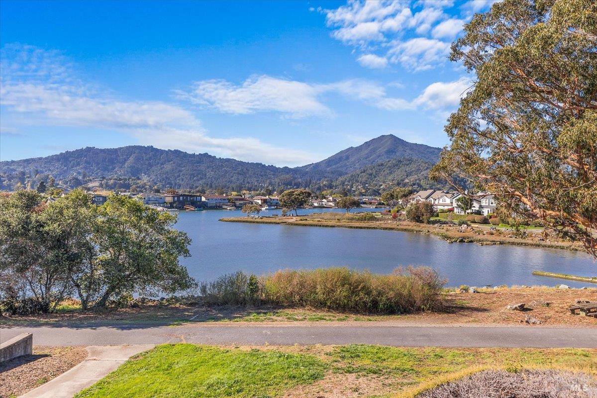 Detail Gallery Image 43 of 58 For 40 Drakes View Cir, Greenbrae,  CA 94904 - 3 Beds | 2/1 Baths