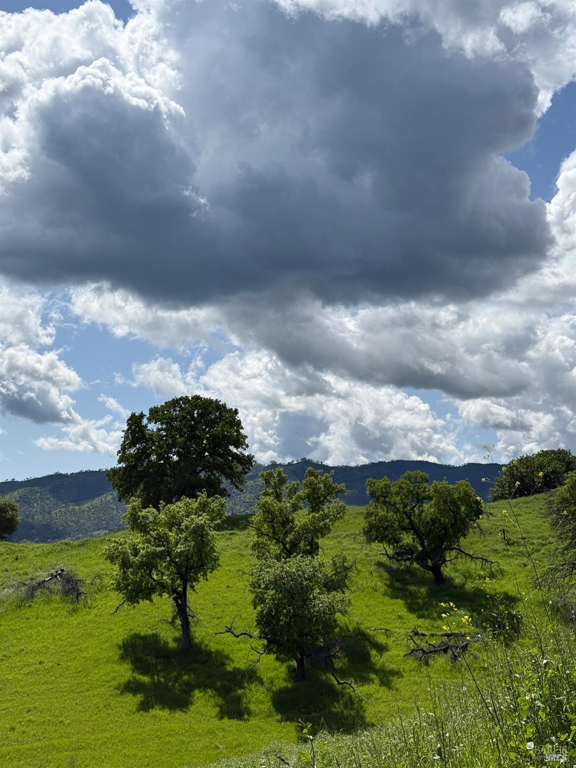 Detail Gallery Image 8 of 15 For 3757 Wild Oak Trl, Vacaville,  CA 95688 - – Beds | – Baths