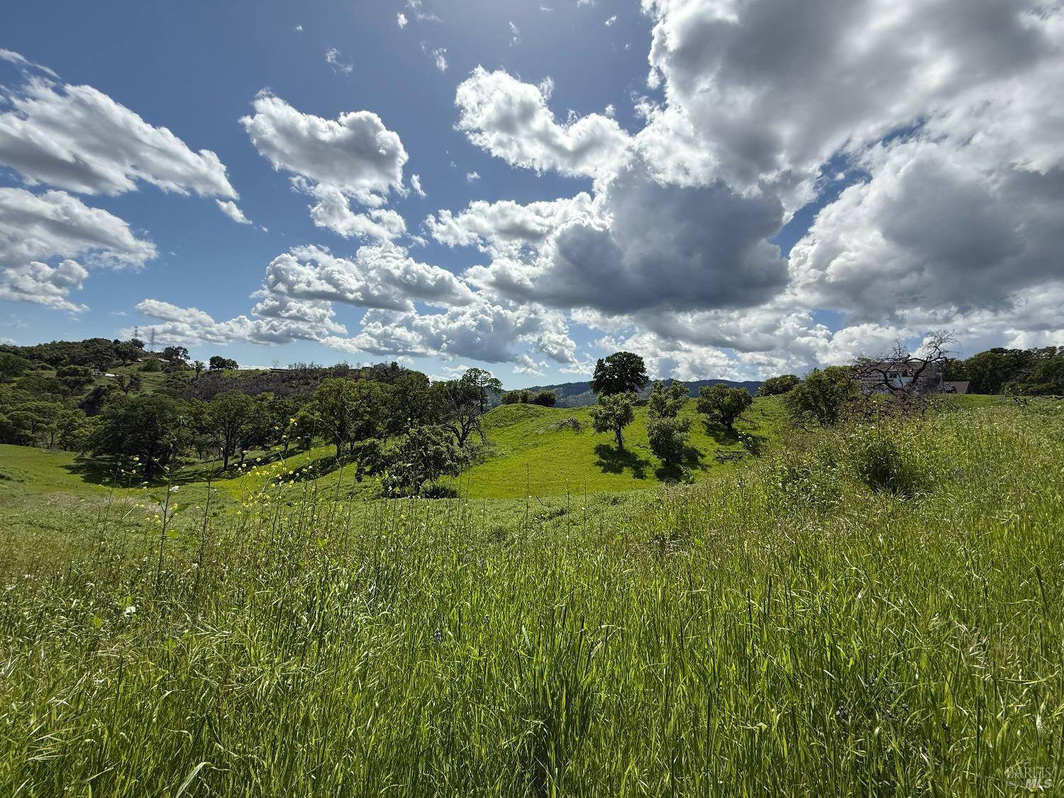 Detail Gallery Image 13 of 15 For 3757 Wild Oak Trl, Vacaville,  CA 95688 - – Beds | – Baths