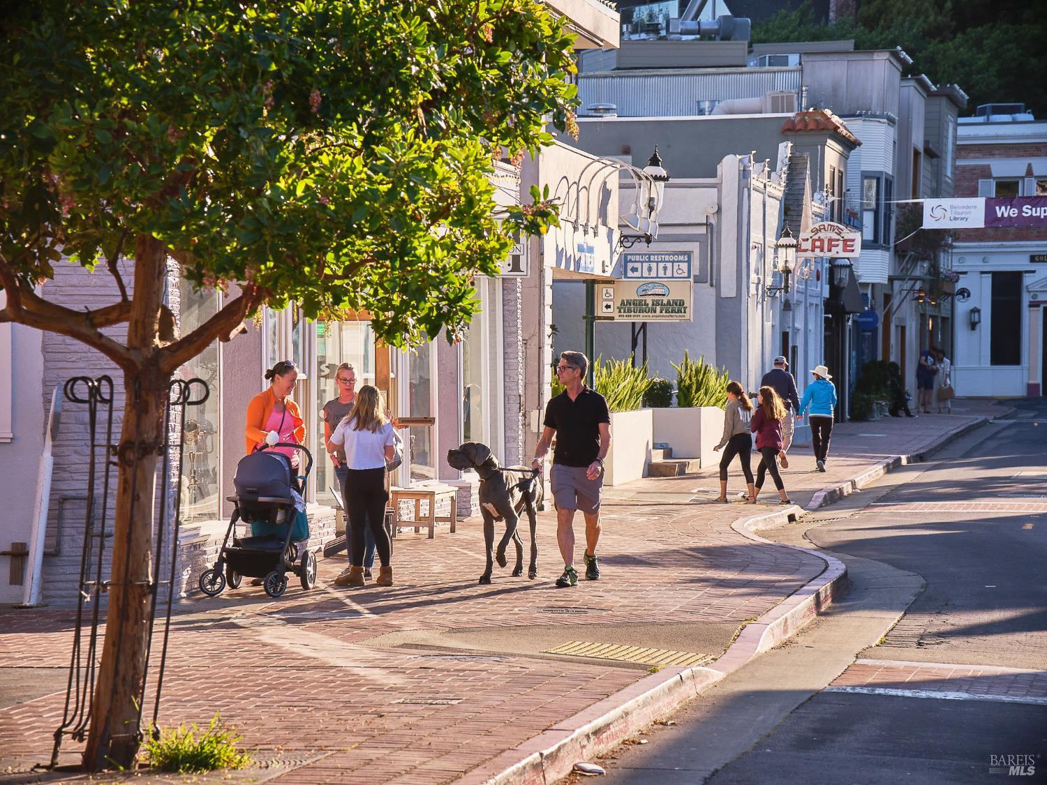 Detail Gallery Image 20 of 33 For 125 Belvedere Ave, Belvedere,  CA 94920 - 5 Beds | 5/5 Baths