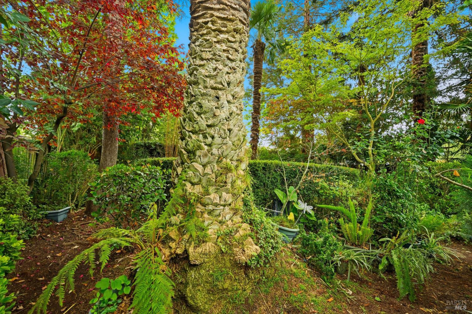 Detail Gallery Image 30 of 35 For 8440 Lasalle Ave, Cotati,  CA 94931 - 3 Beds | 2 Baths