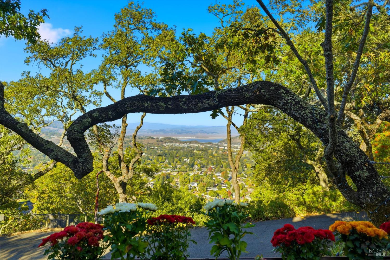 Detail Gallery Image 44 of 51 For 395 Ridge Rd, Novato,  CA 94947 - 3 Beds | 2/1 Baths