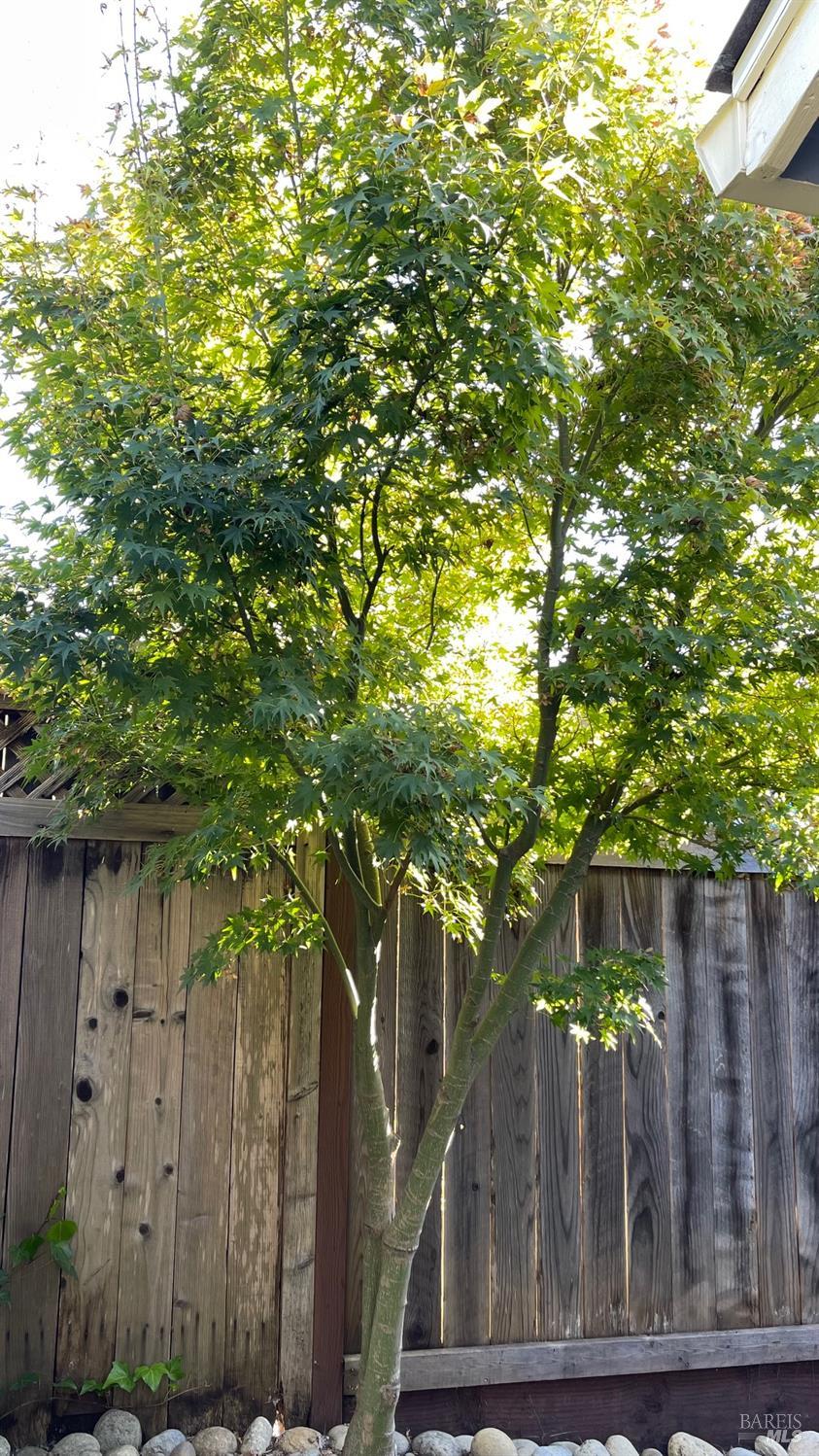 Detail Gallery Image 24 of 30 For 3502 Sleepy Hollow Ct, Santa Rosa,  CA 95404 - 3 Beds | 2 Baths