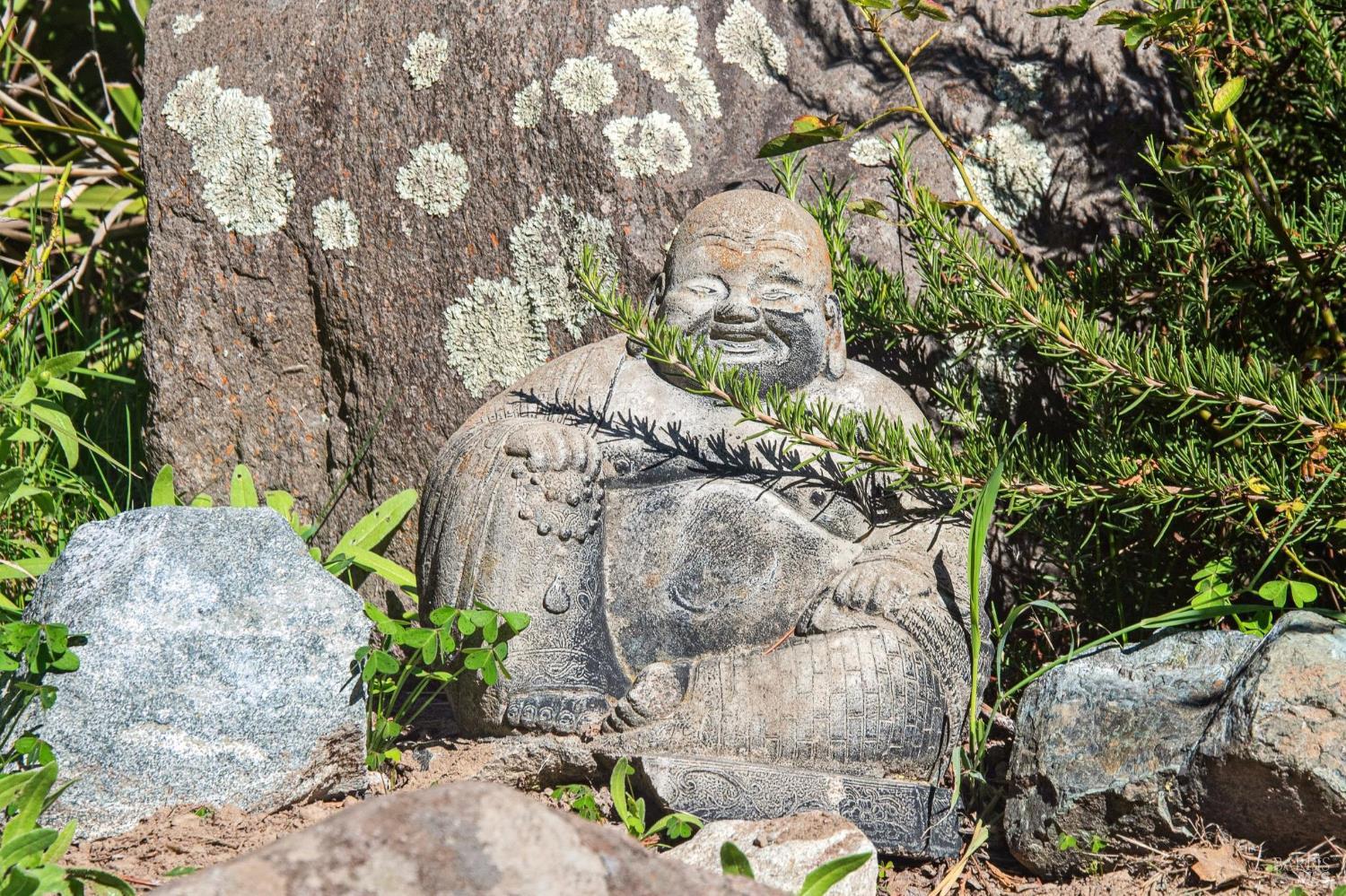 Detail Gallery Image 60 of 66 For 497 Pleasant Hill Rd, Sebastopol,  CA 95472 - 3 Beds | 2/1 Baths