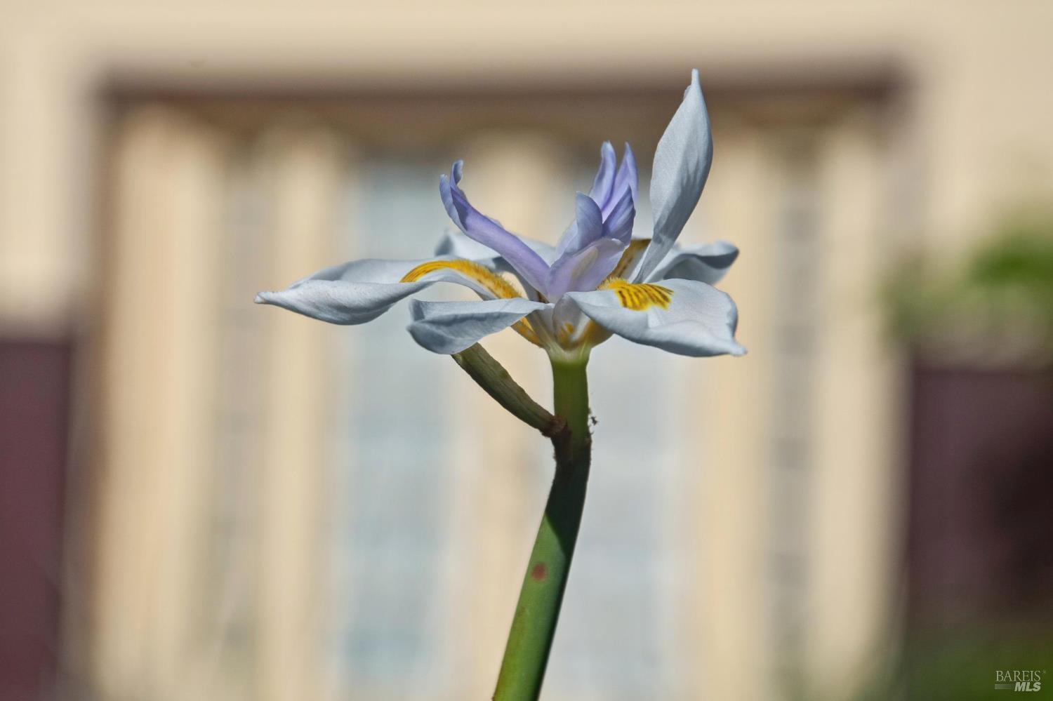 Detail Gallery Image 61 of 66 For 497 Pleasant Hill Rd, Sebastopol,  CA 95472 - 3 Beds | 2/1 Baths