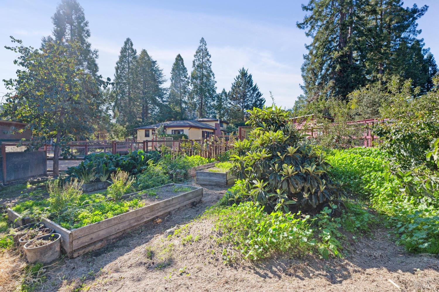 Detail Gallery Image 57 of 66 For 497 Pleasant Hill Rd, Sebastopol,  CA 95472 - 3 Beds | 2/1 Baths