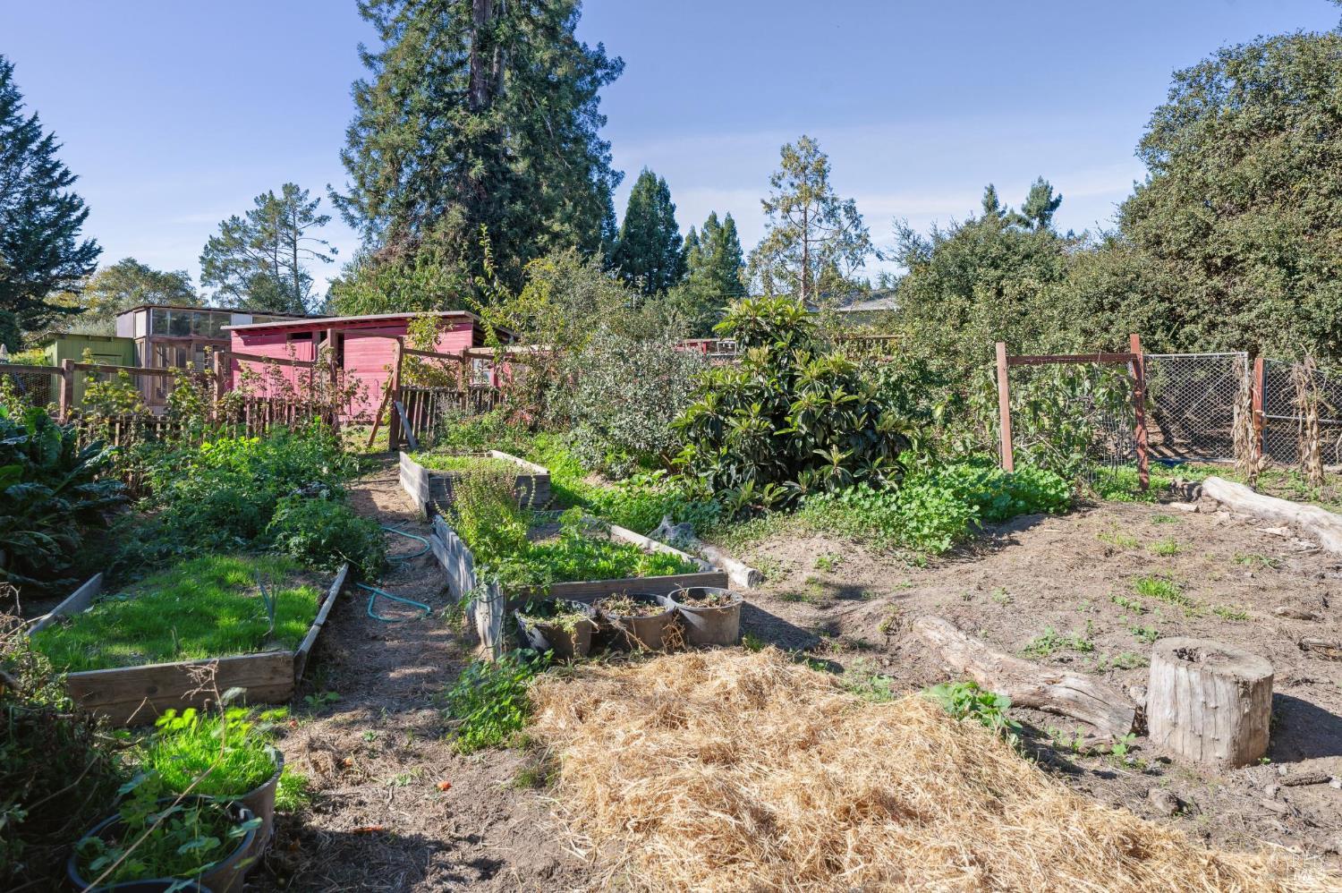 Detail Gallery Image 56 of 66 For 497 Pleasant Hill Rd, Sebastopol,  CA 95472 - 3 Beds | 2/1 Baths