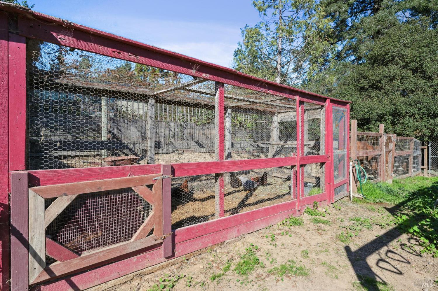 Detail Gallery Image 54 of 66 For 497 Pleasant Hill Rd, Sebastopol,  CA 95472 - 3 Beds | 2/1 Baths