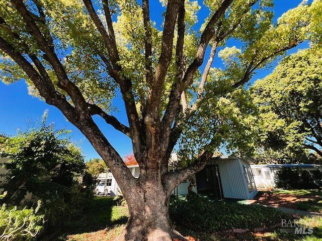 Detail Gallery Image 23 of 35 For 270 Manuella Ln, Sonoma,  CA 95476 - 2 Beds | 2 Baths