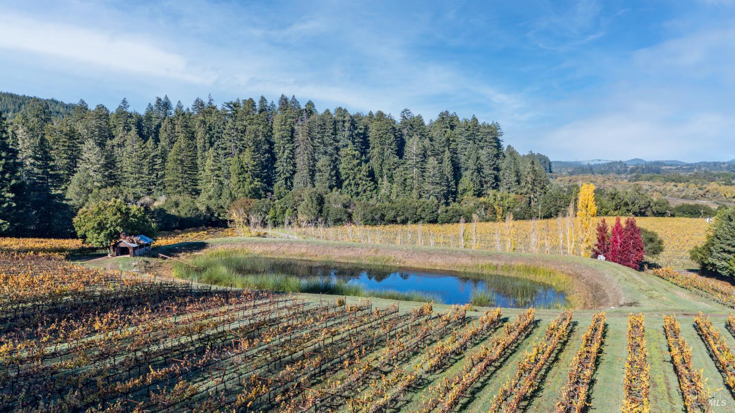 Detail Gallery Image 45 of 63 For 7680 Highway 128 Hwy, Philo,  CA 95466 - 3 Beds | 2/1 Baths