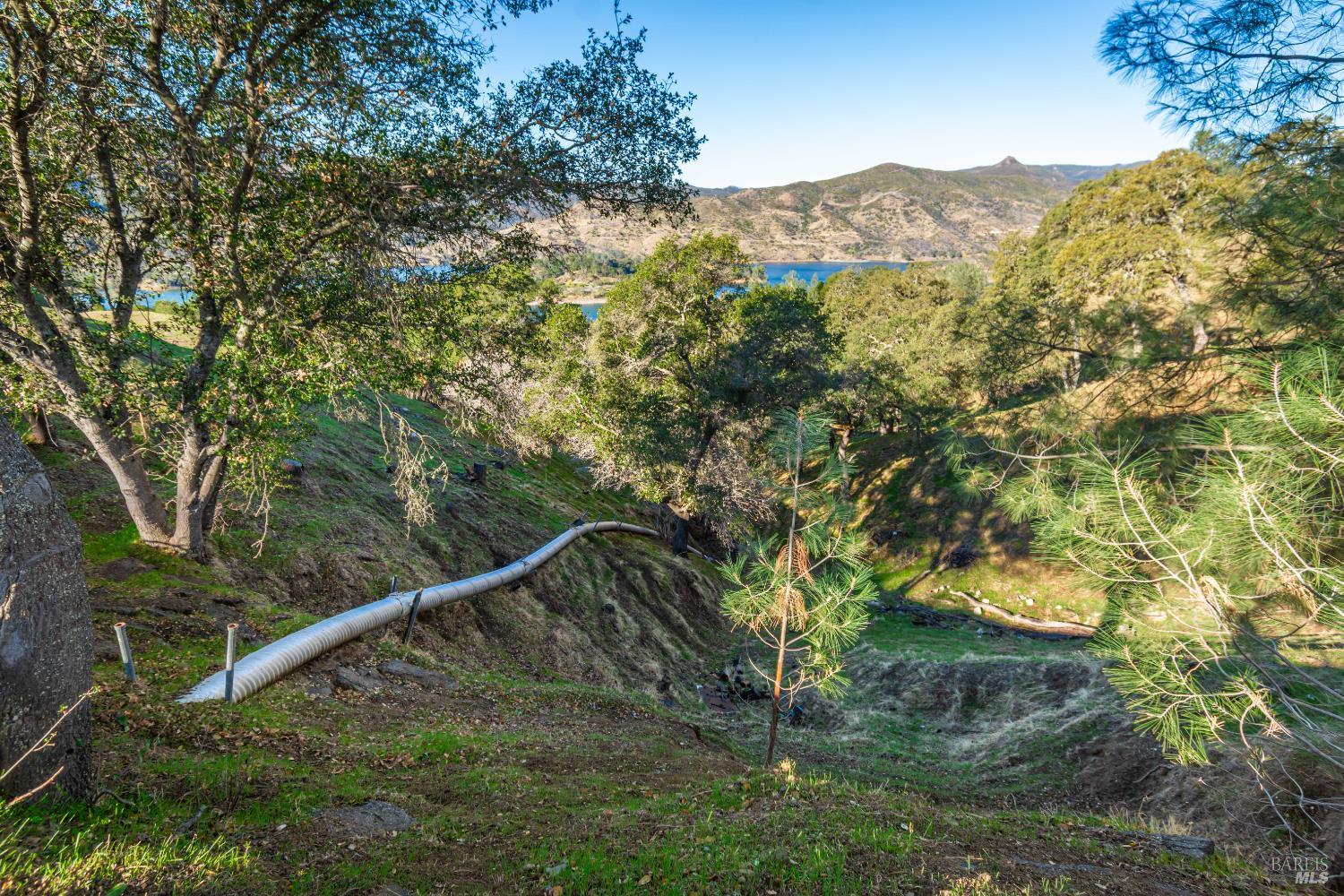 Detail Gallery Image 22 of 44 For 1379 Steele Canyon Rd, Napa,  CA 94558 - – Beds | – Baths