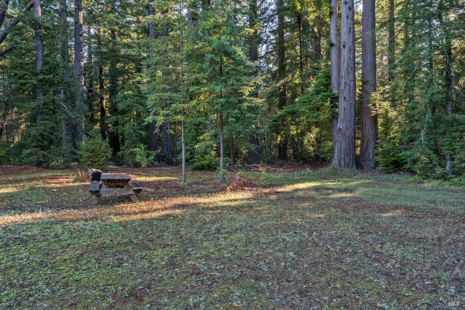 Detail Gallery Image 3 of 63 For 7680 Highway 128 Hwy, Philo,  CA 95466 - 3 Beds | 2/1 Baths