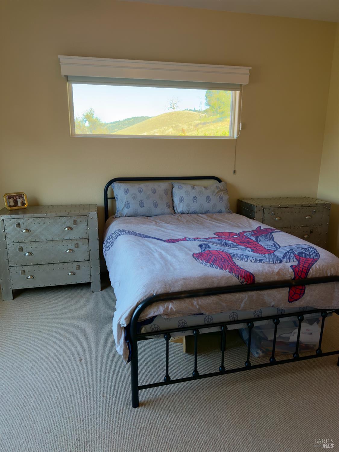 Detail Gallery Image 23 of 39 For 5240 Ne Hoyal Dr, Santa Rosa,  CA 95409 - 3 Beds | 2/1 Baths