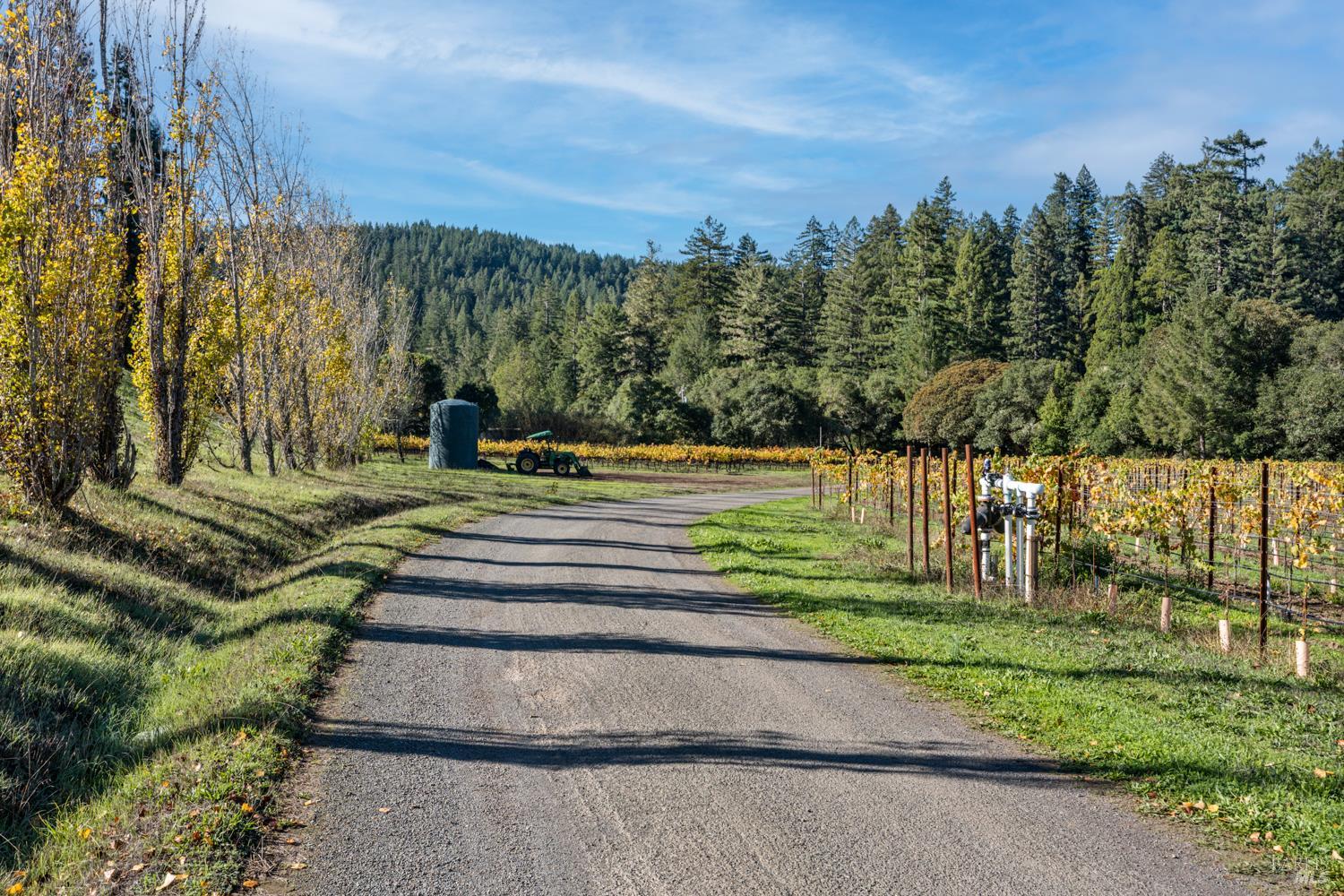 Detail Gallery Image 57 of 63 For 7680 Highway 128 Hwy, Philo,  CA 95466 - 3 Beds | 2/1 Baths