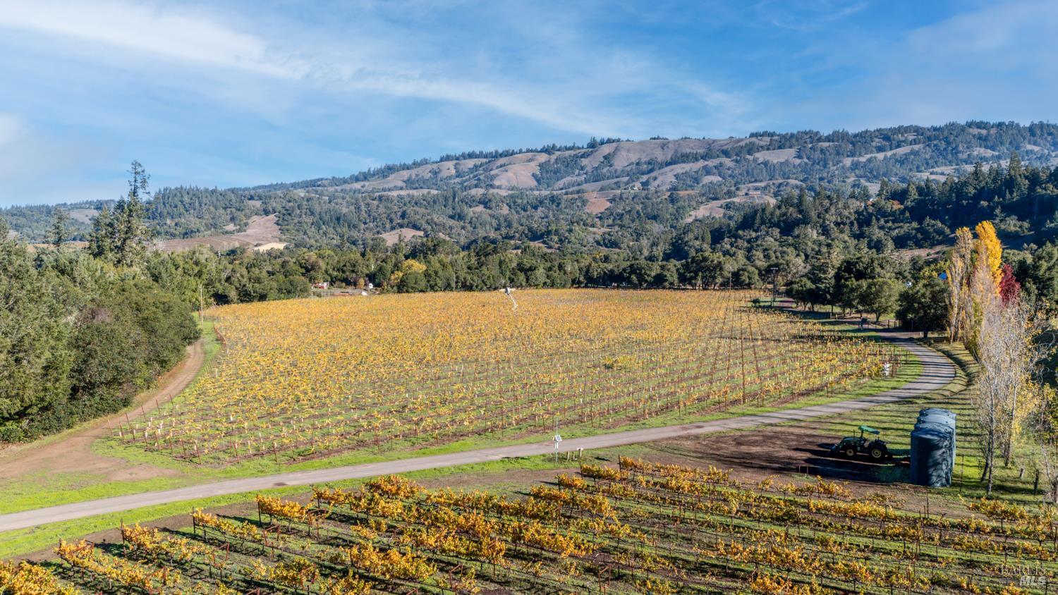 Detail Gallery Image 47 of 63 For 7680 Highway 128 Hwy, Philo,  CA 95466 - 3 Beds | 2/1 Baths