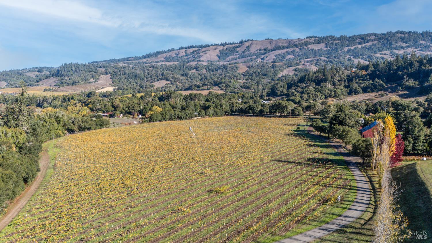 Detail Gallery Image 46 of 63 For 7680 Highway 128 Hwy, Philo,  CA 95466 - 3 Beds | 2/1 Baths