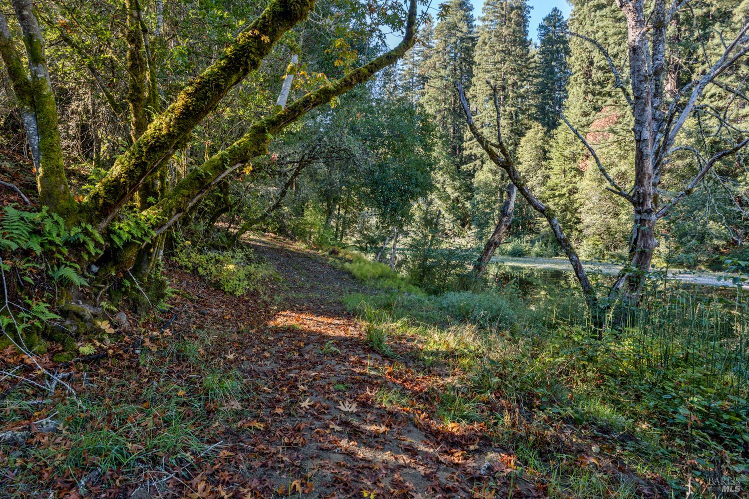 Detail Gallery Image 55 of 63 For 7680 Highway 128 Hwy, Philo,  CA 95466 - 3 Beds | 2/1 Baths