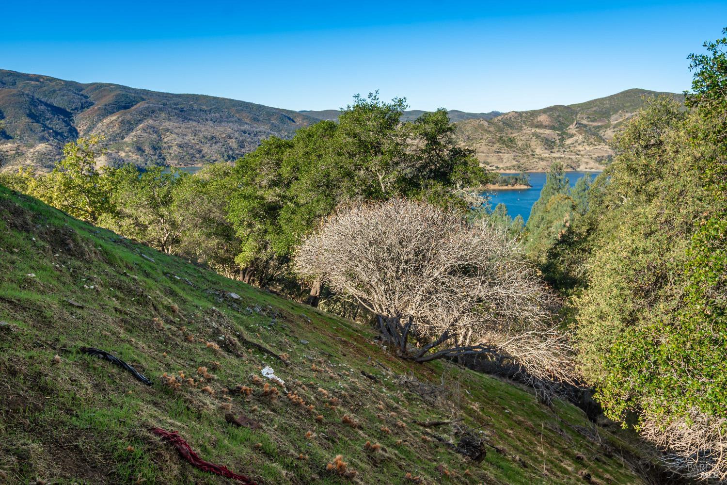 Detail Gallery Image 27 of 44 For 1379 Steele Canyon Rd, Napa,  CA 94558 - – Beds | – Baths