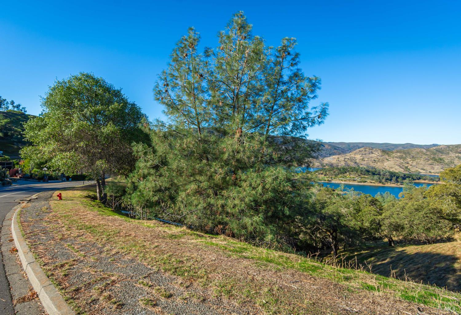 Detail Gallery Image 18 of 44 For 1379 Steele Canyon Rd, Napa,  CA 94558 - – Beds | – Baths