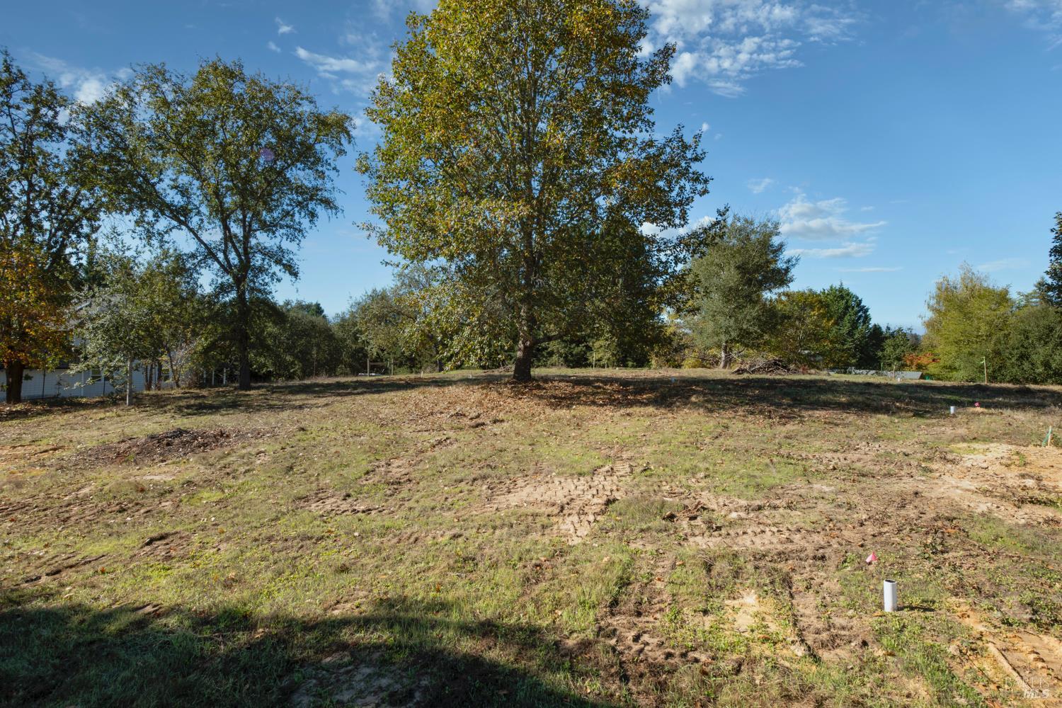 Detail Gallery Image 11 of 19 For 0 Covey & Davis Rd, Forestville,  CA 95436 - – Beds | – Baths