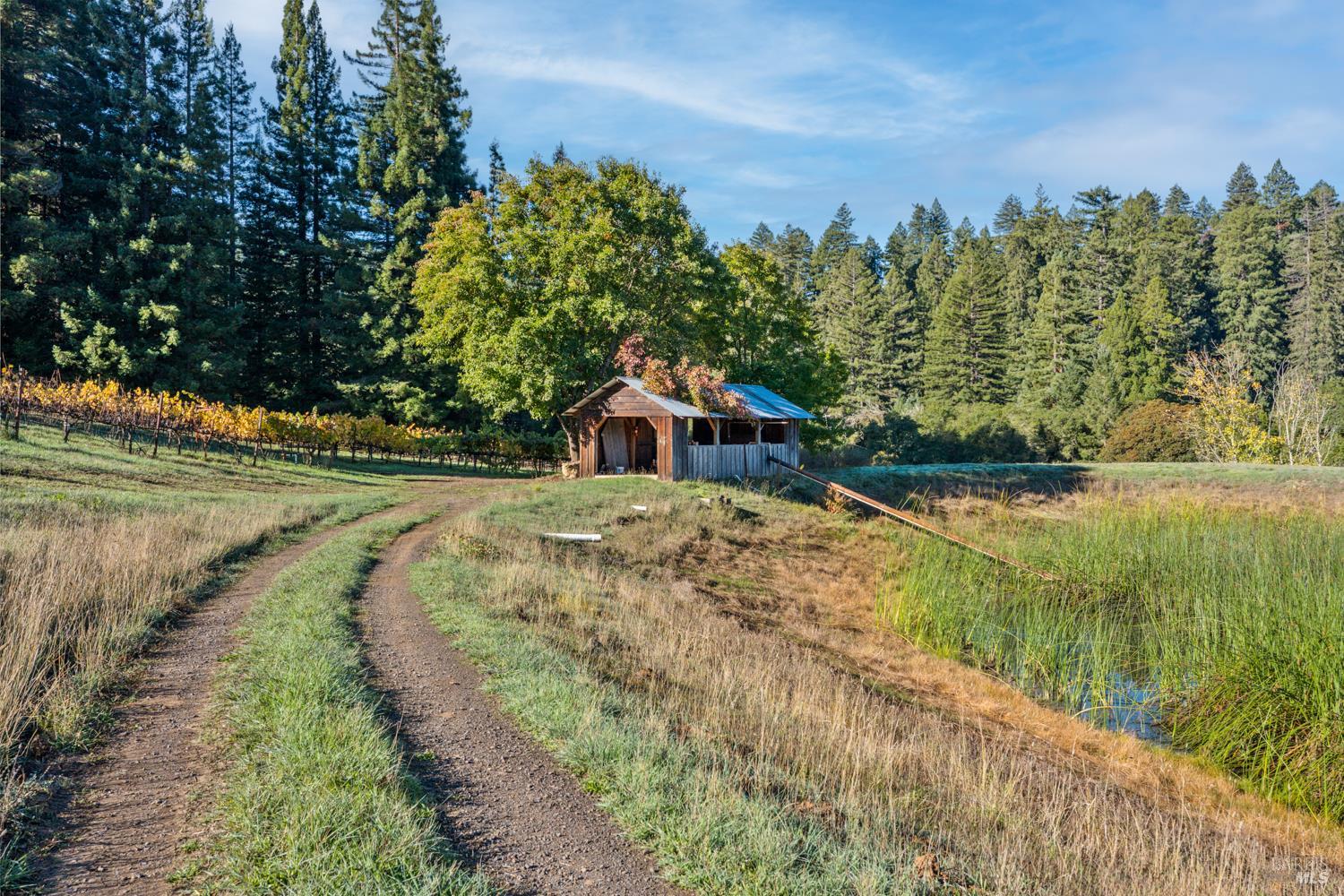 Detail Gallery Image 40 of 63 For 7680 Highway 128 Hwy, Philo,  CA 95466 - 3 Beds | 2/1 Baths