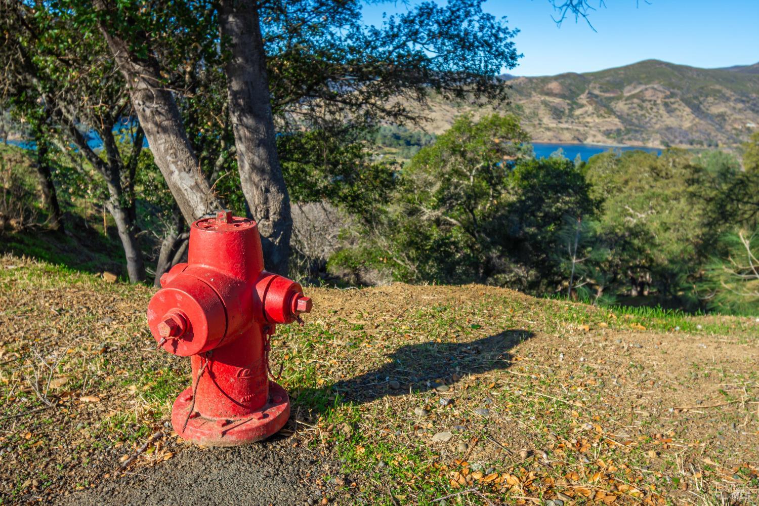 Detail Gallery Image 21 of 44 For 1379 Steele Canyon Rd, Napa,  CA 94558 - – Beds | – Baths