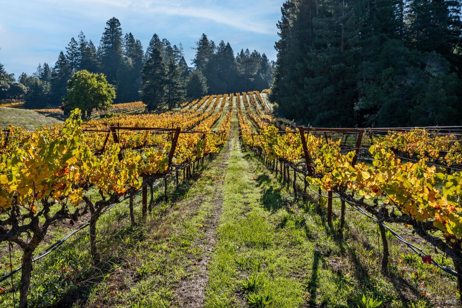 Detail Gallery Image 5 of 63 For 7680 Highway 128 Hwy, Philo,  CA 95466 - 3 Beds | 2/1 Baths