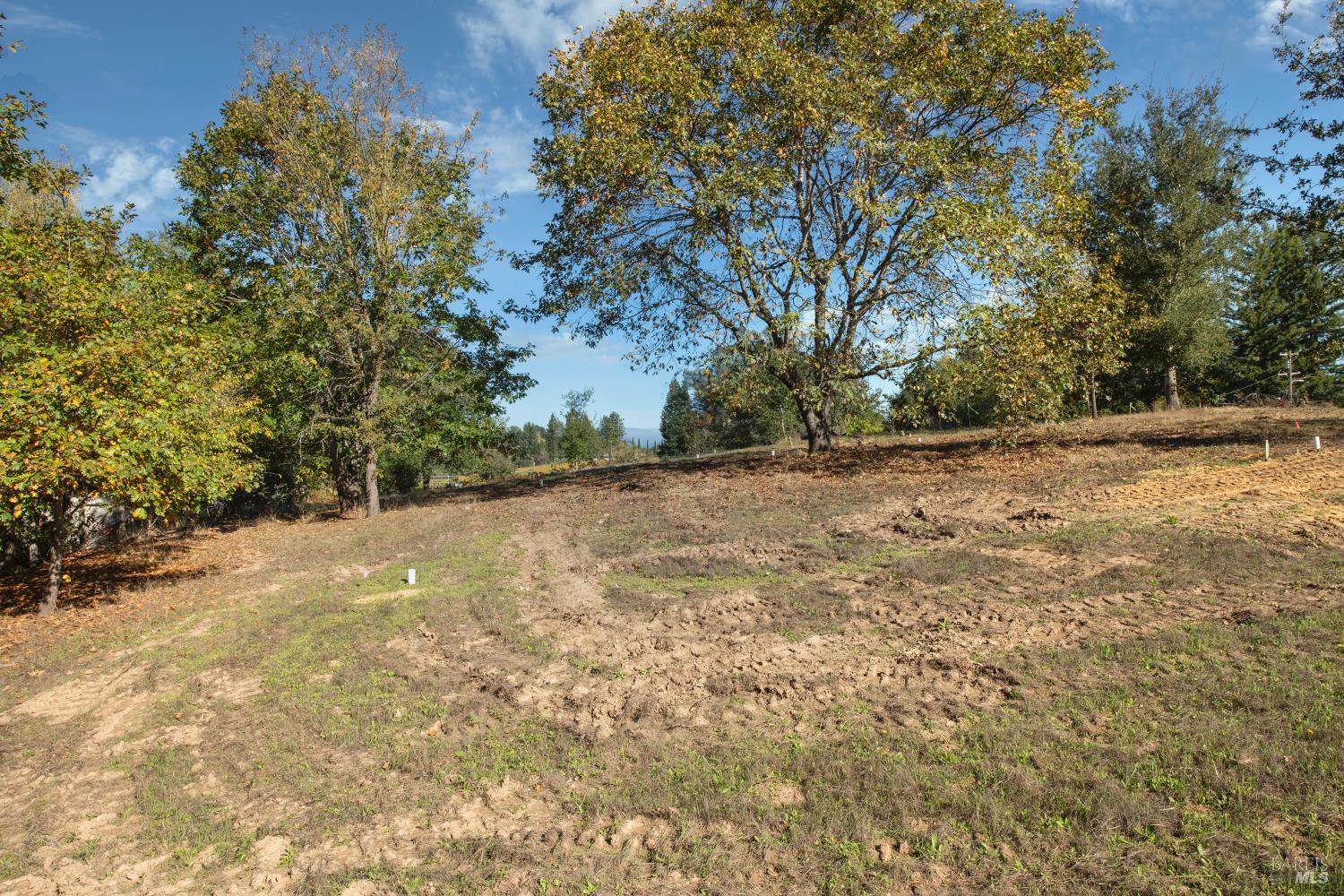 Detail Gallery Image 18 of 19 For 0 Covey & Davis Rd, Forestville,  CA 95436 - – Beds | – Baths