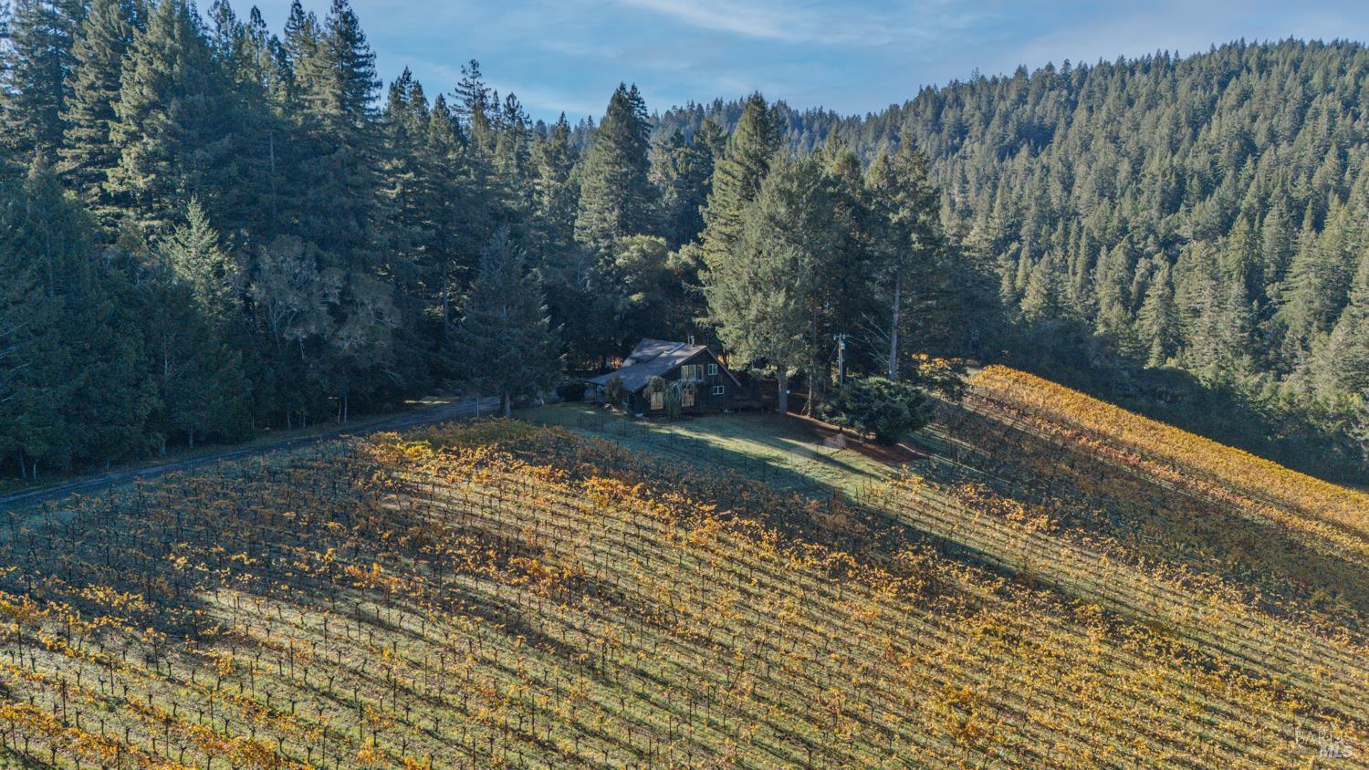 Detail Gallery Image 58 of 63 For 7680 Highway 128 Hwy, Philo,  CA 95466 - 3 Beds | 2/1 Baths