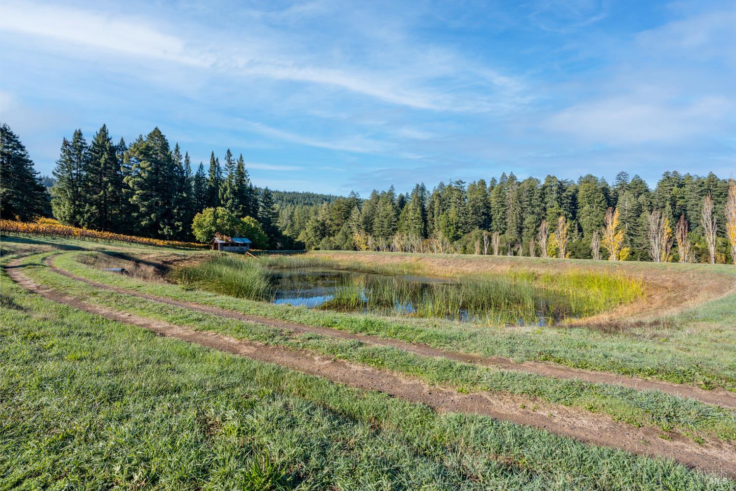 Detail Gallery Image 39 of 63 For 7680 Highway 128 Hwy, Philo,  CA 95466 - 3 Beds | 2/1 Baths