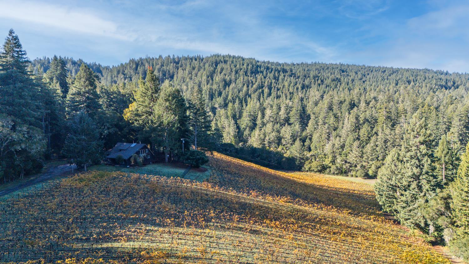 Detail Gallery Image 4 of 63 For 7680 Highway 128 Hwy, Philo,  CA 95466 - 3 Beds | 2/1 Baths