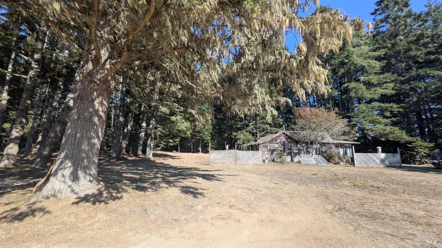 Front Image Thumbnail for BA325095816