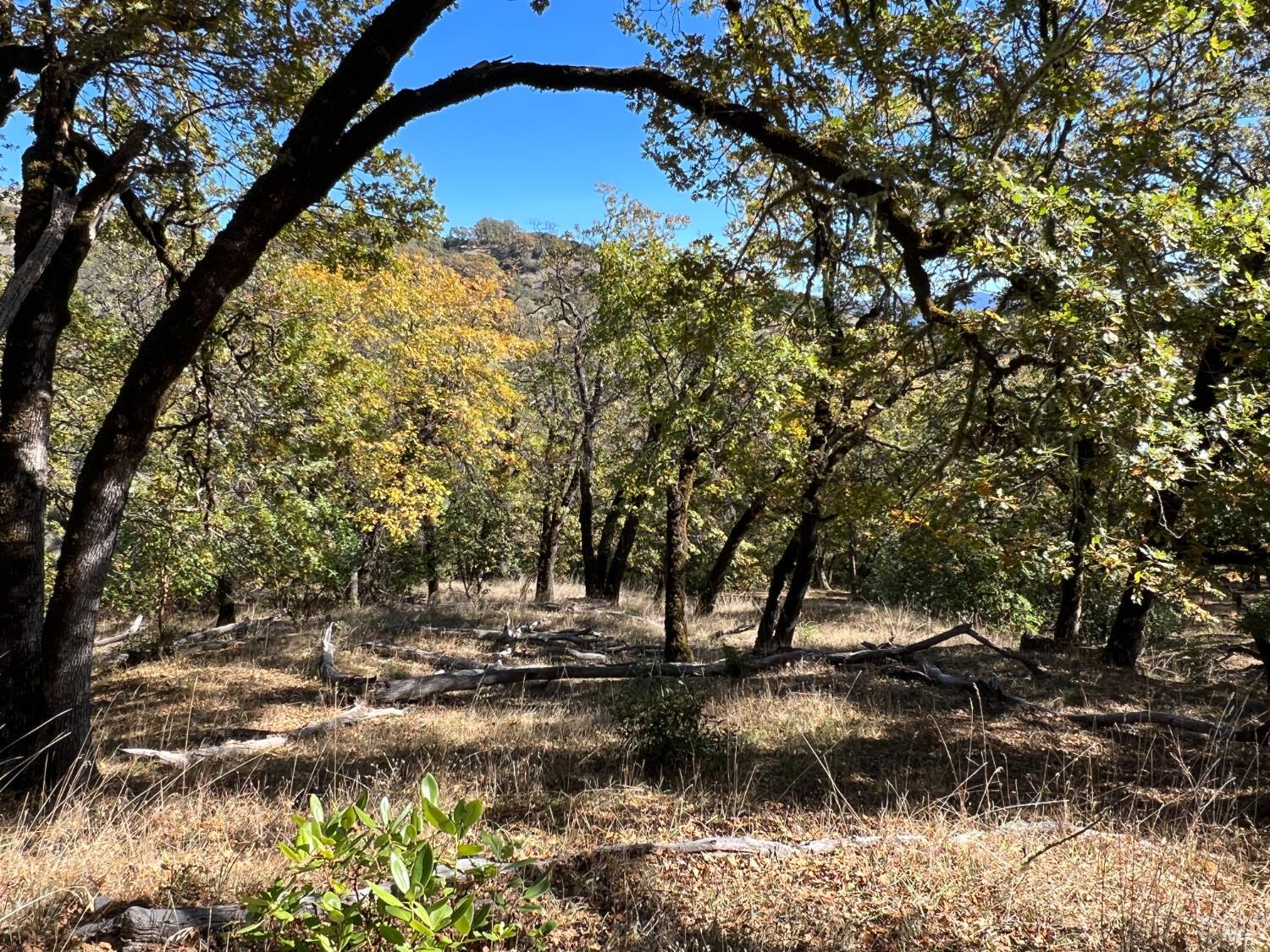 Detail Gallery Image 2 of 16 For 5290 Butler Ranch Rd, Ukiah,  CA 95482 - – Beds | – Baths