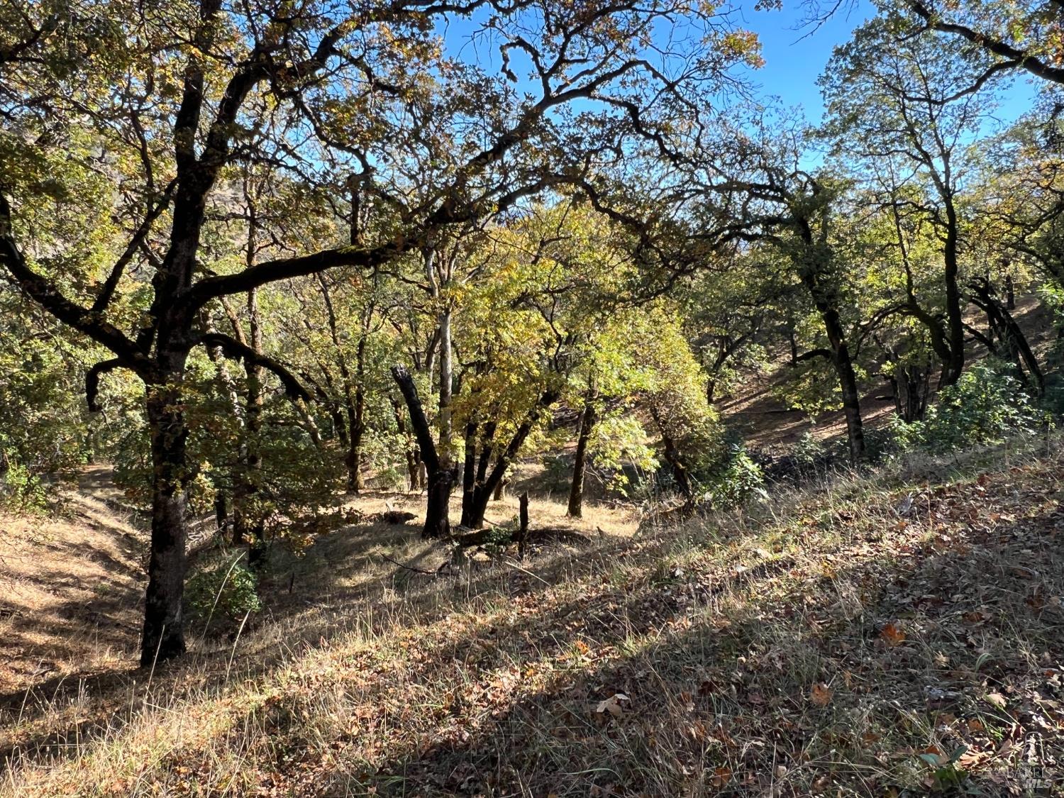 Detail Gallery Image 10 of 16 For 5290 Butler Ranch Rd, Ukiah,  CA 95482 - – Beds | – Baths