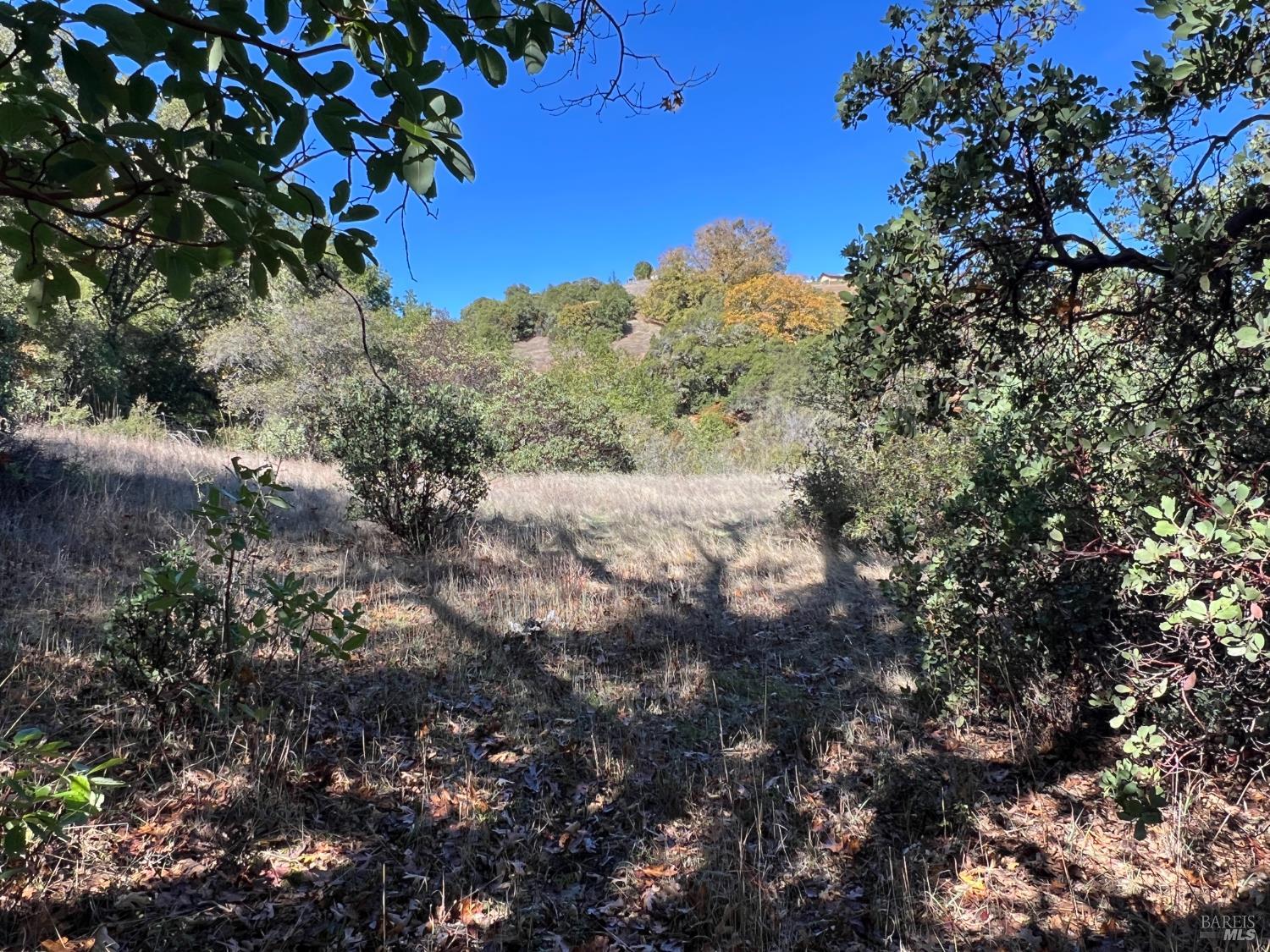 Detail Gallery Image 8 of 16 For 5290 Butler Ranch Rd, Ukiah,  CA 95482 - – Beds | – Baths