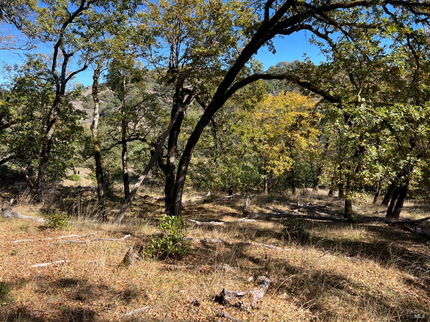 Detail Gallery Image 4 of 16 For 5290 Butler Ranch Rd, Ukiah,  CA 95482 - – Beds | – Baths