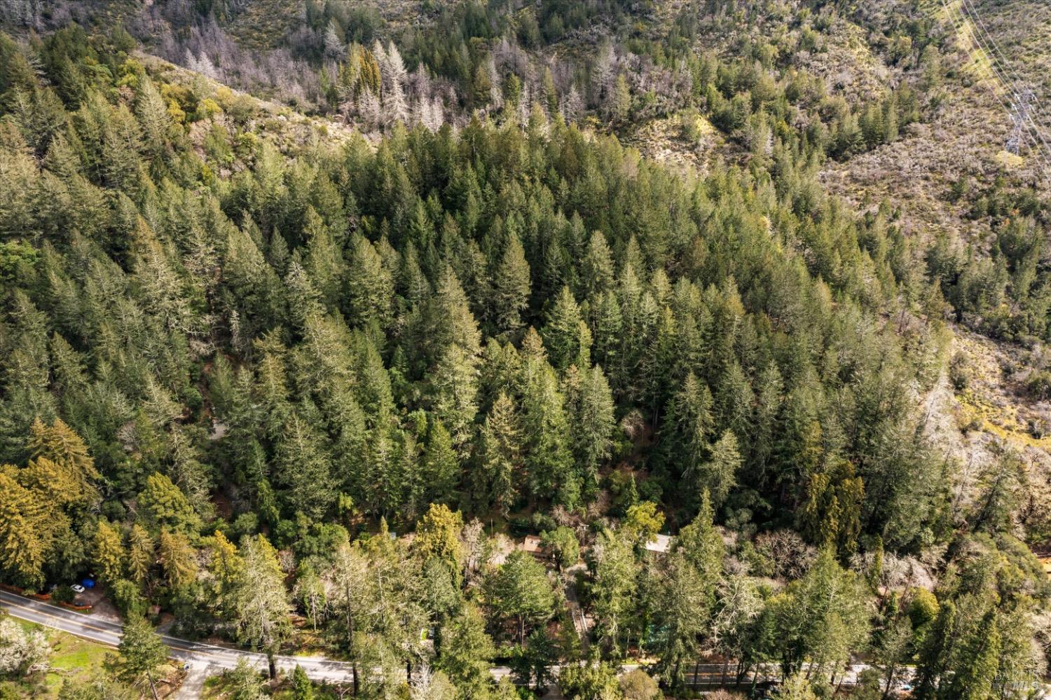 Detail Gallery Image 43 of 50 For 3150 Calistoga Rd, Santa Rosa,  CA 95404 - – Beds | – Baths