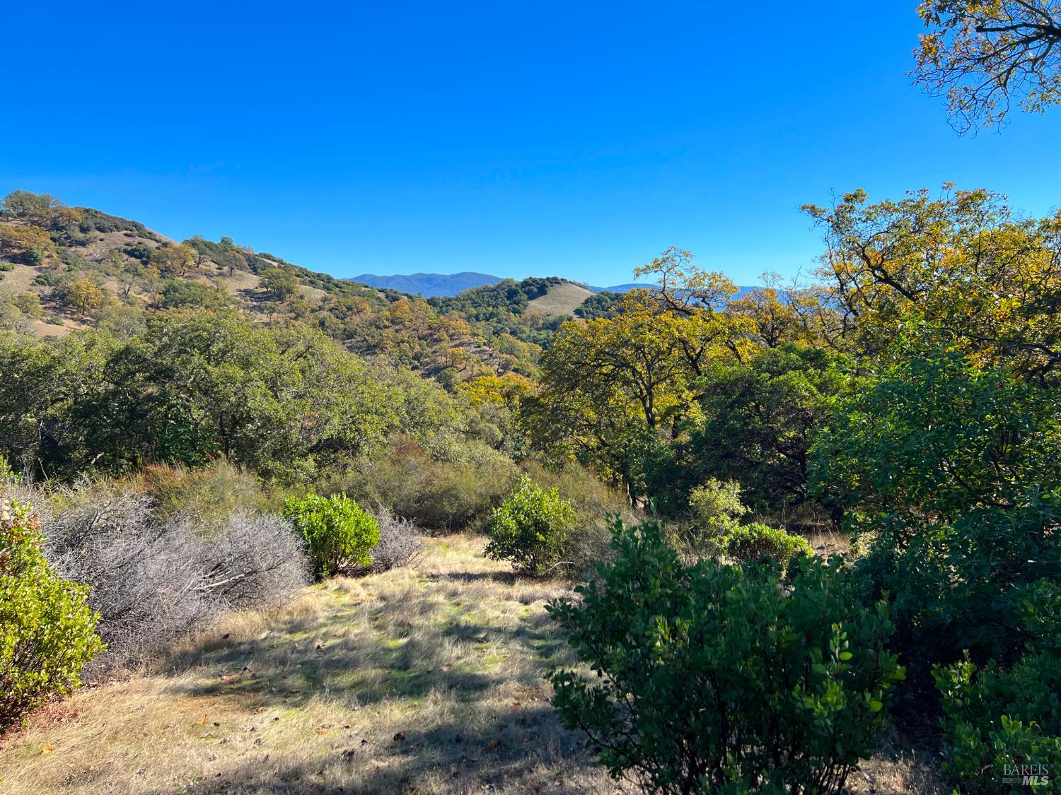 Detail Gallery Image 12 of 16 For 5290 Butler Ranch Rd, Ukiah,  CA 95482 - – Beds | – Baths