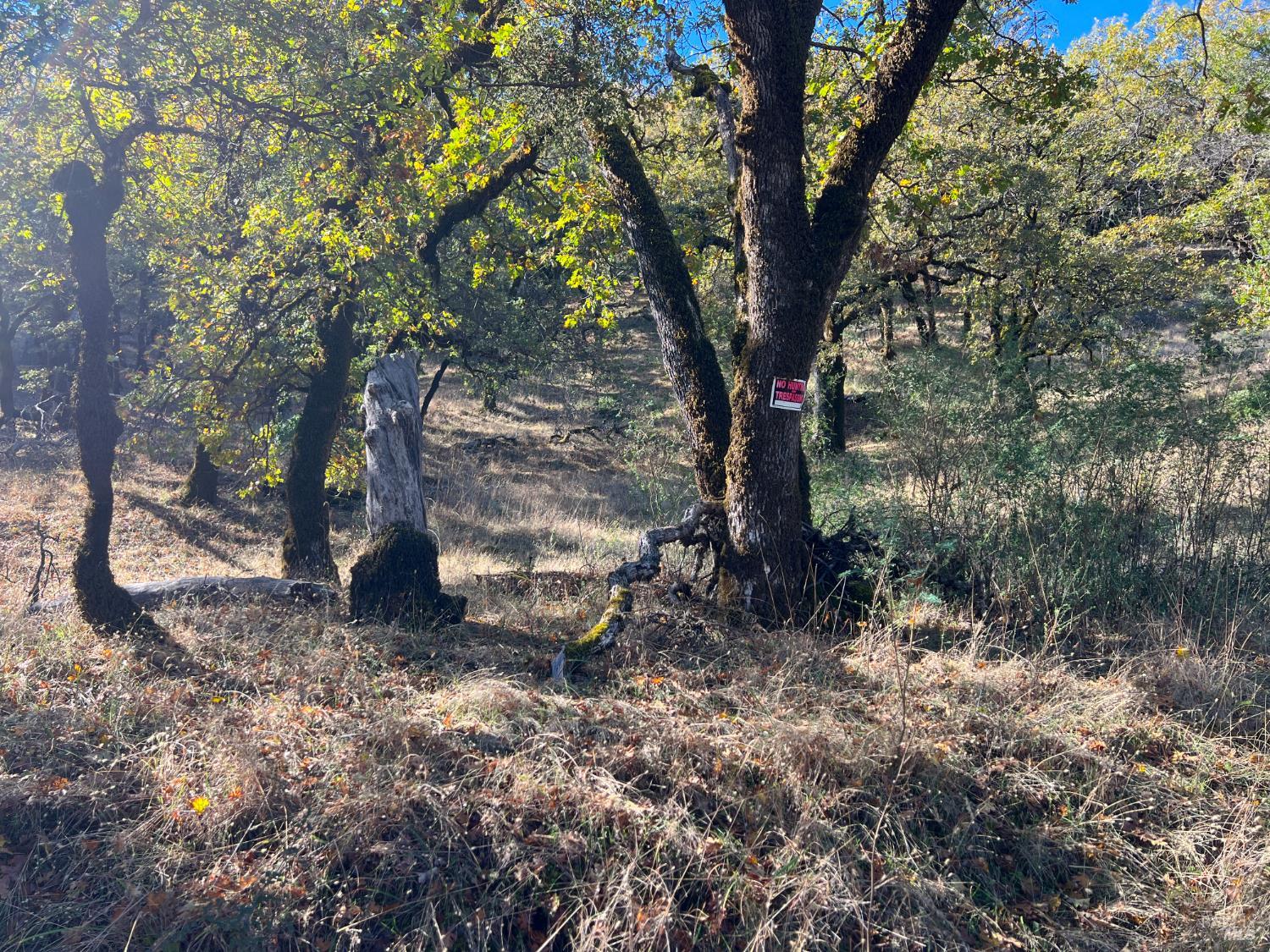 Detail Gallery Image 5 of 16 For 5290 Butler Ranch Rd, Ukiah,  CA 95482 - – Beds | – Baths