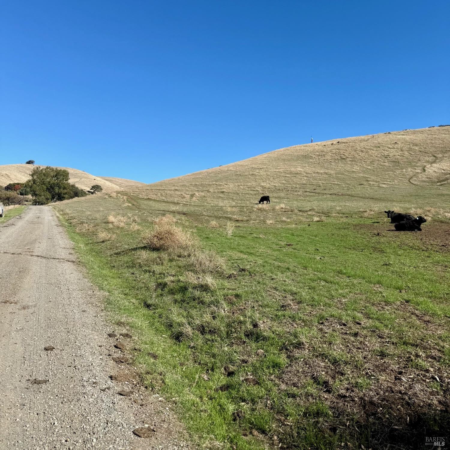 Front Image Thumbnail for BA325096006