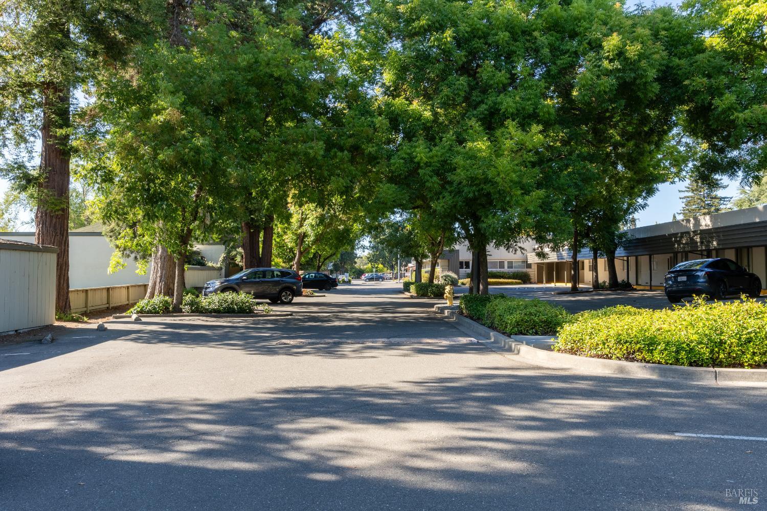 Detail Gallery Image 14 of 18 For 1200 Sonoma Ave, Santa Rosa,  CA 95405 - – Beds | – Baths