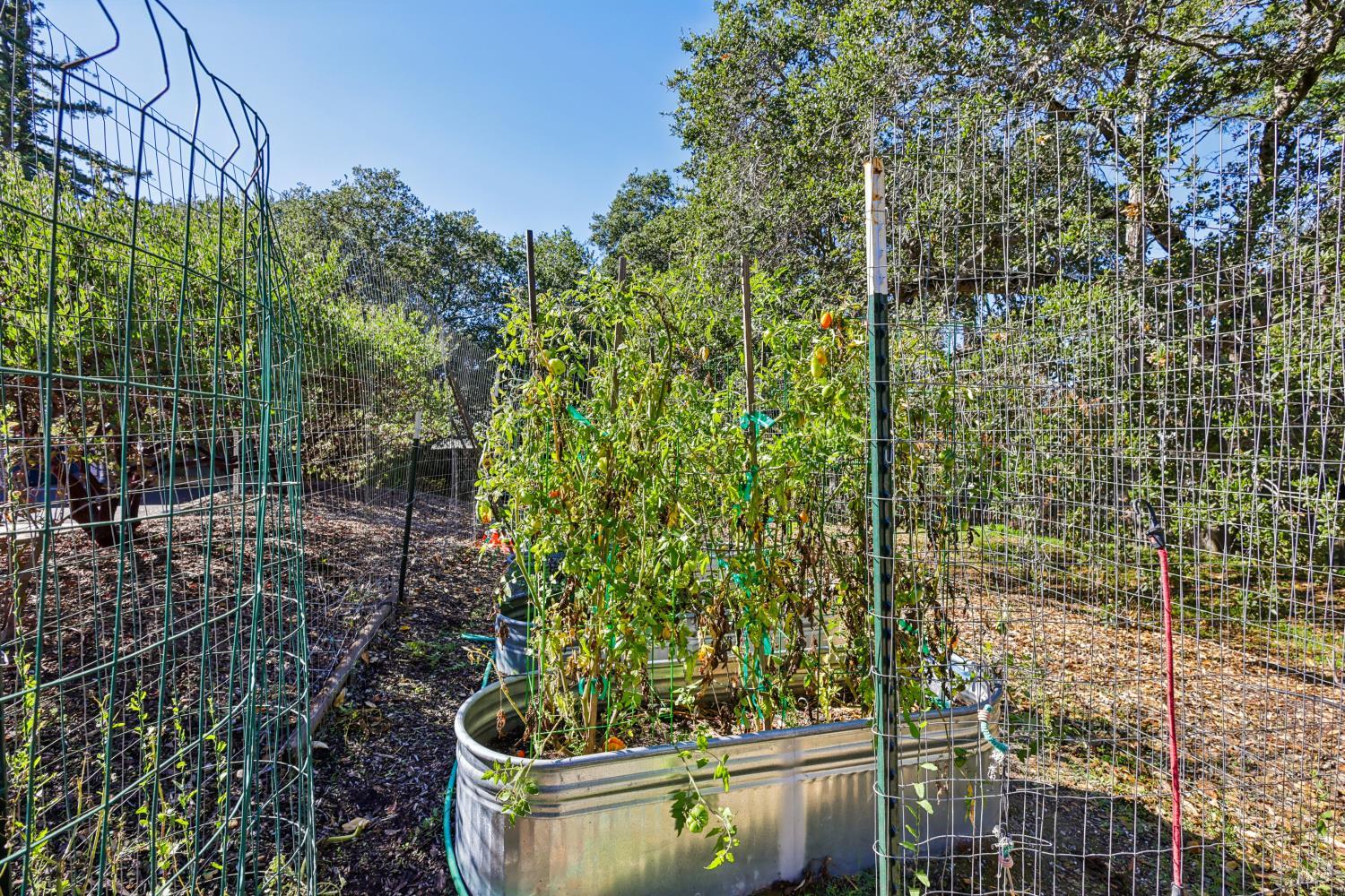 Detail Gallery Image 52 of 88 For 732 Keller Ct, Petaluma,  CA 94952 - 2 Beds | 2/1 Baths