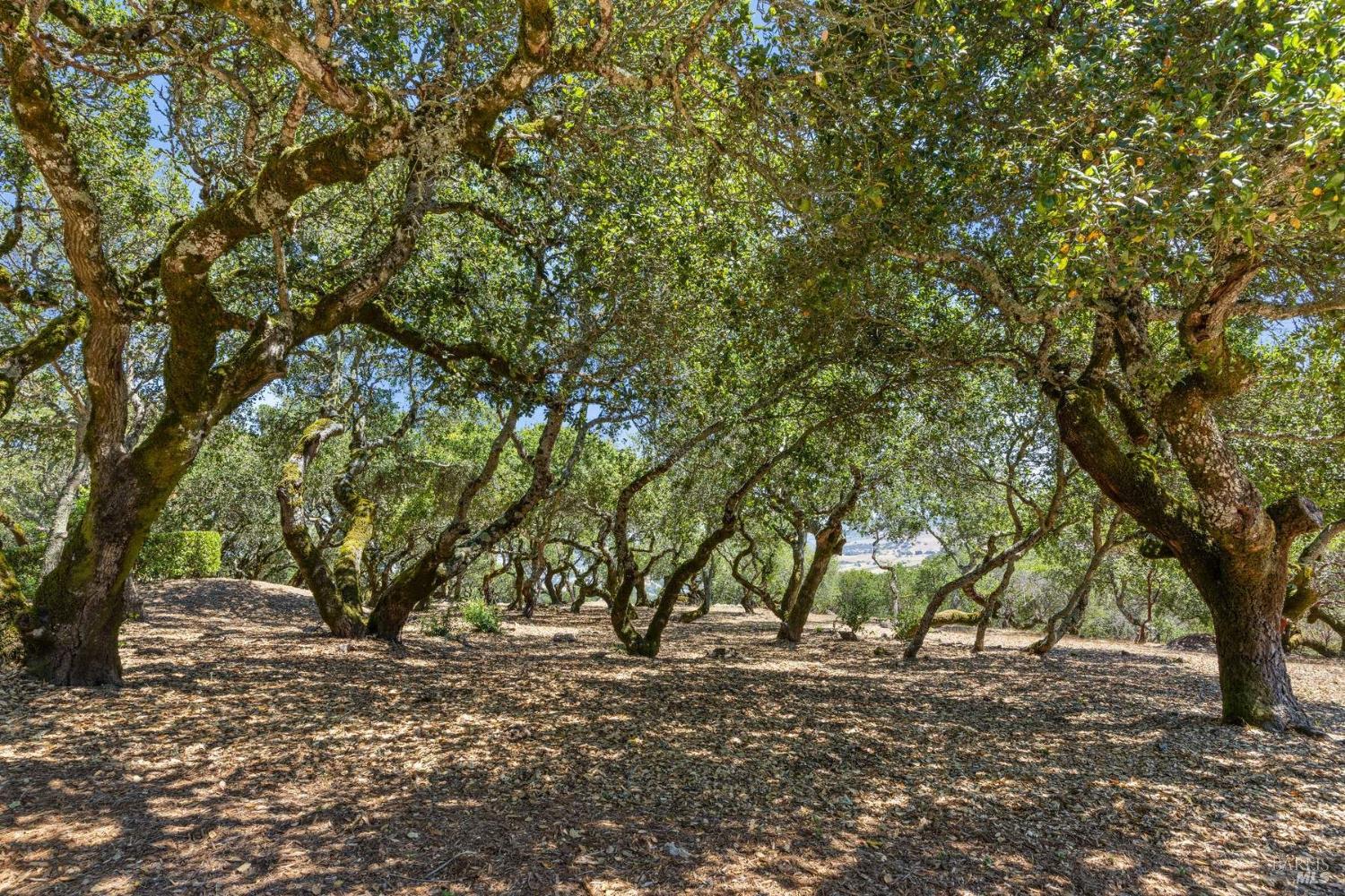 Detail Gallery Image 26 of 40 For 2700 Warrington Rd, Santa Rosa,  CA 95404 - 2 Beds | 2 Baths