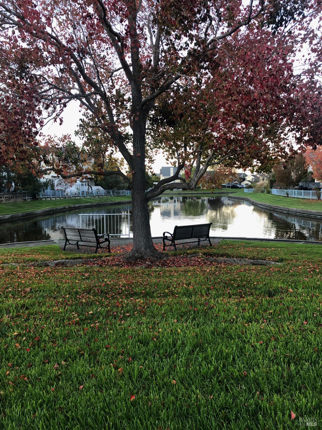 Detail Gallery Image 55 of 57 For 13 Waterside Cir, San Rafael,  CA 94903 - 3 Beds | 2/1 Baths