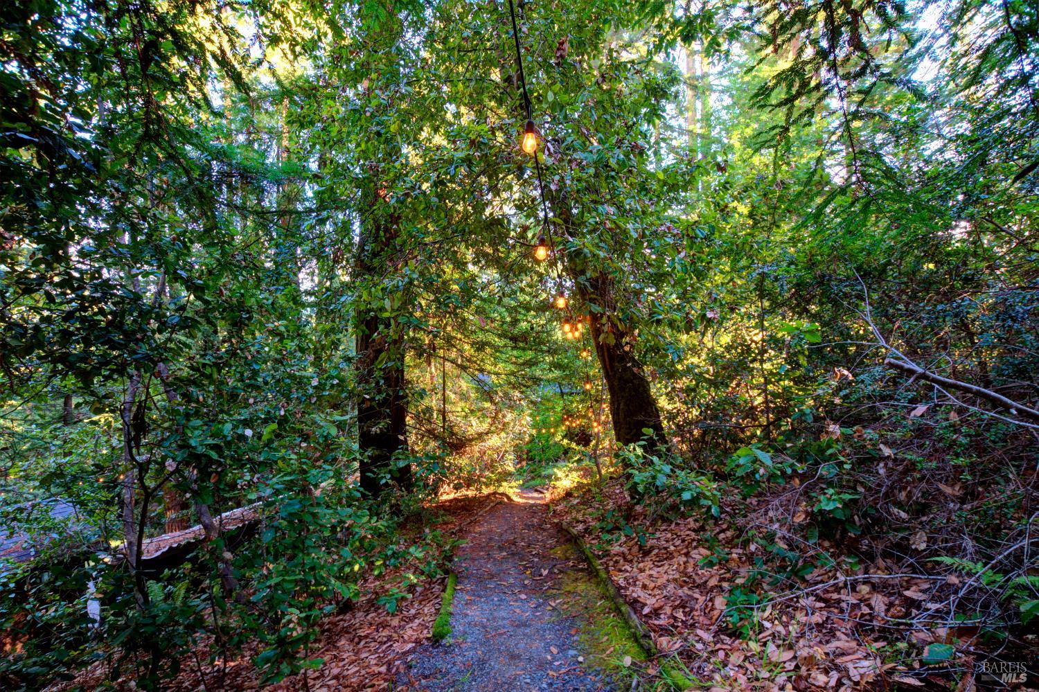 Detail Gallery Image 66 of 90 For 2081 Joy Rd, Occidental,  CA 95465 - 3 Beds | 2/1 Baths