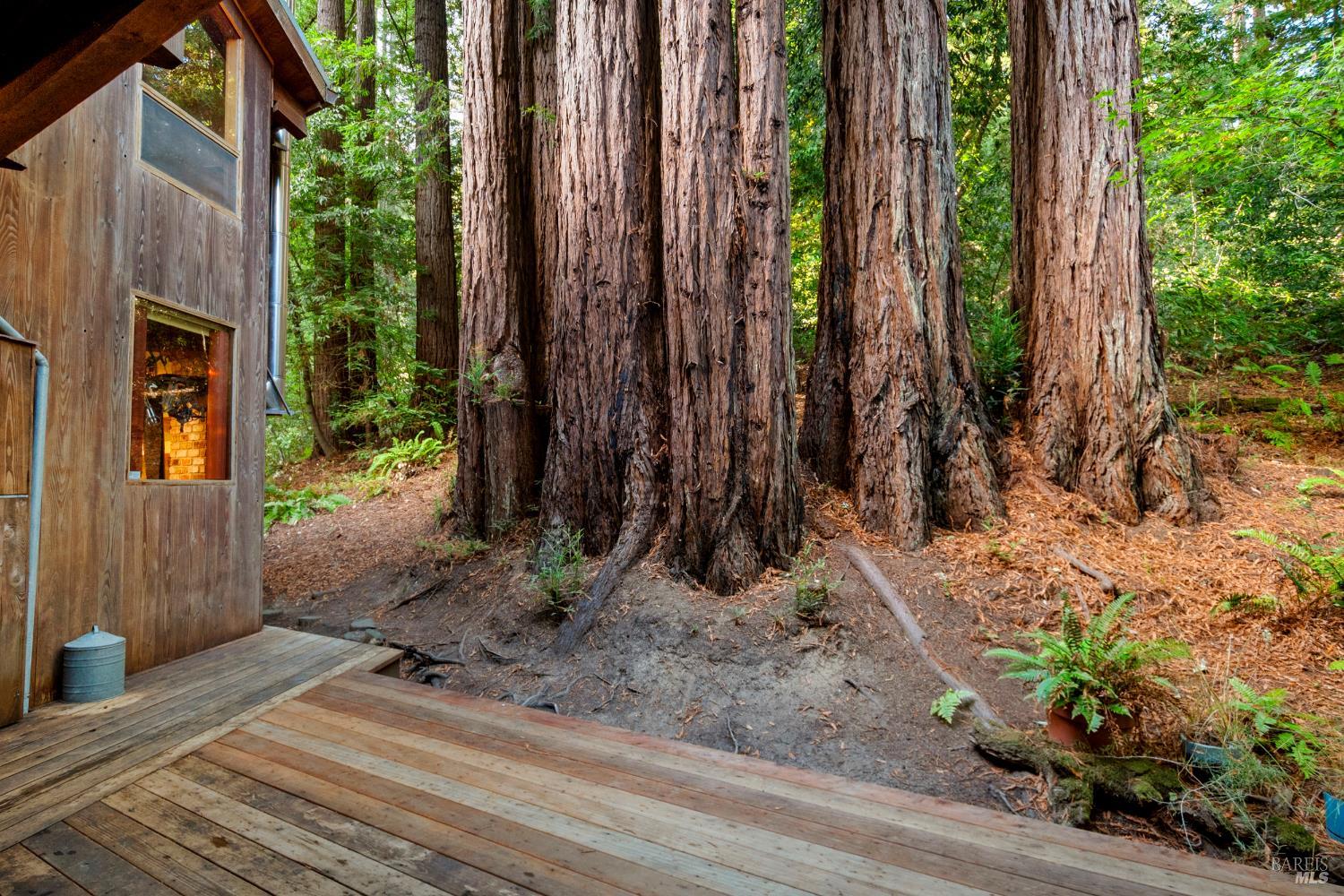 Detail Gallery Image 3 of 90 For 2081 Joy Rd, Occidental,  CA 95465 - 3 Beds | 2/1 Baths