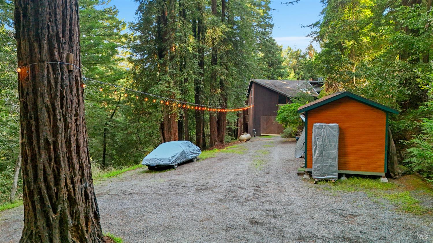 Detail Gallery Image 63 of 90 For 2081 Joy Rd, Occidental,  CA 95465 - 3 Beds | 2/1 Baths