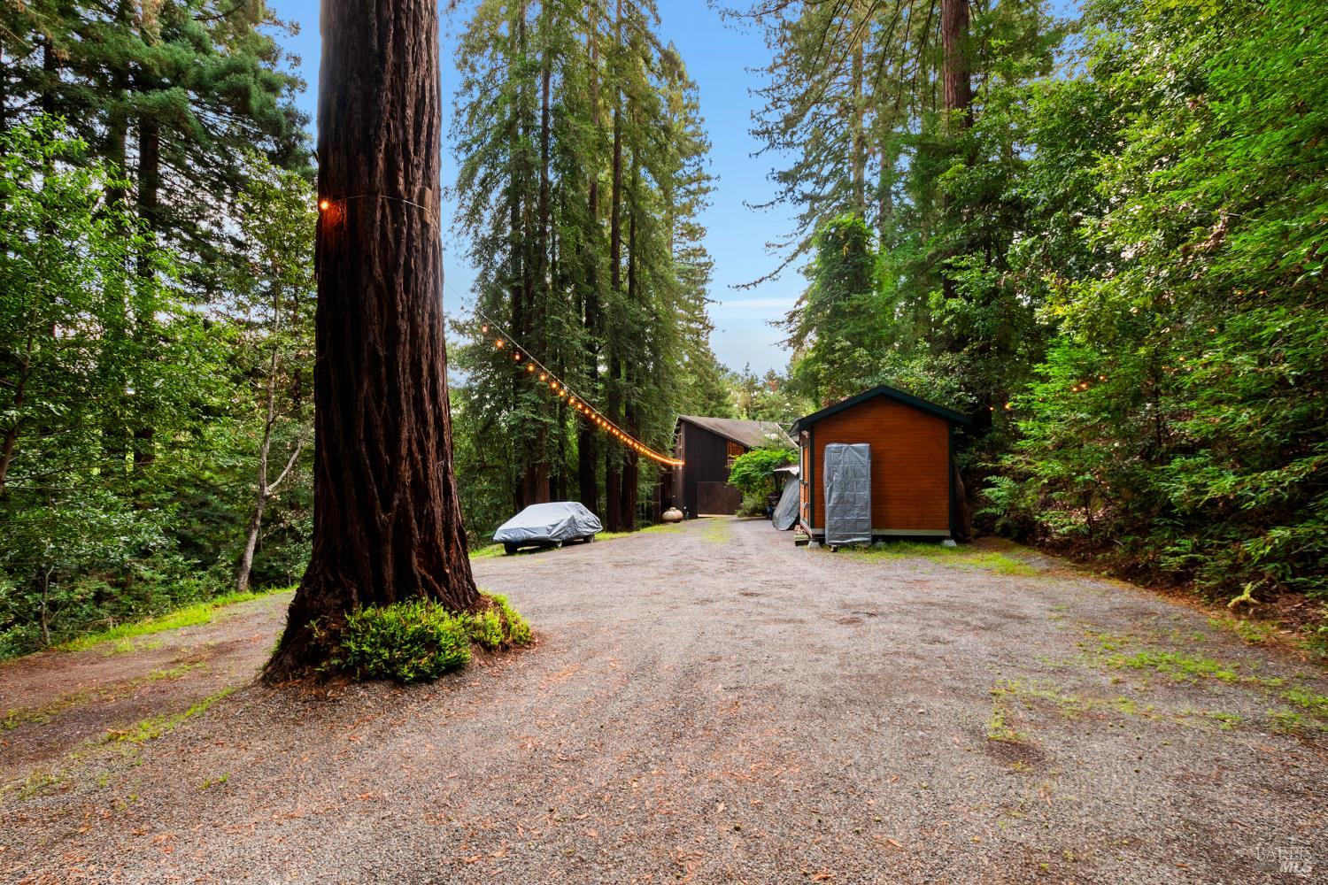 Detail Gallery Image 52 of 90 For 2081 Joy Rd, Occidental,  CA 95465 - 3 Beds | 2/1 Baths